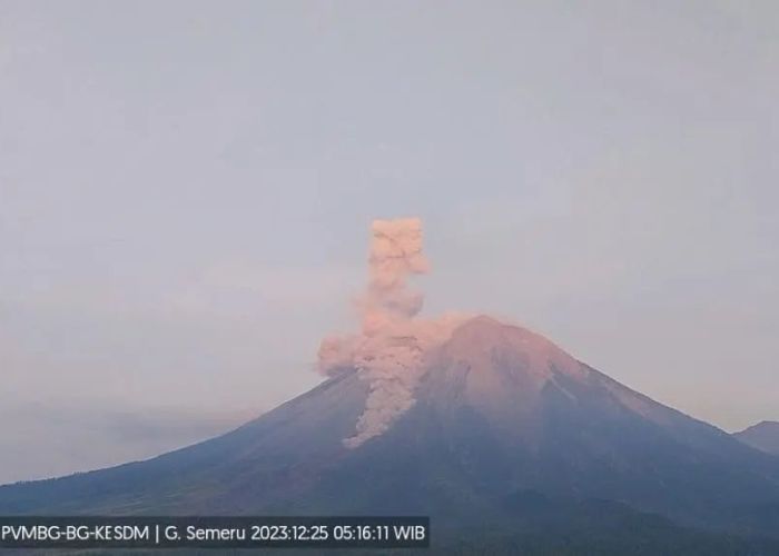 Gunung Semeru Erupsi Lagi, Abu Vulkanik Meletus Hingga 800 Meter