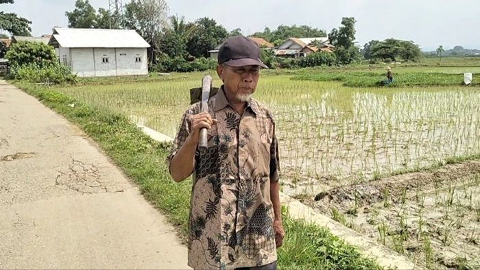 Kasus Petani di Bekasi Tiba-tiba Ditagih Hutang Rp 4 Milyar, Pakar Hukum Perdata Sujana Donandi Sinuraya Angkat Bicara