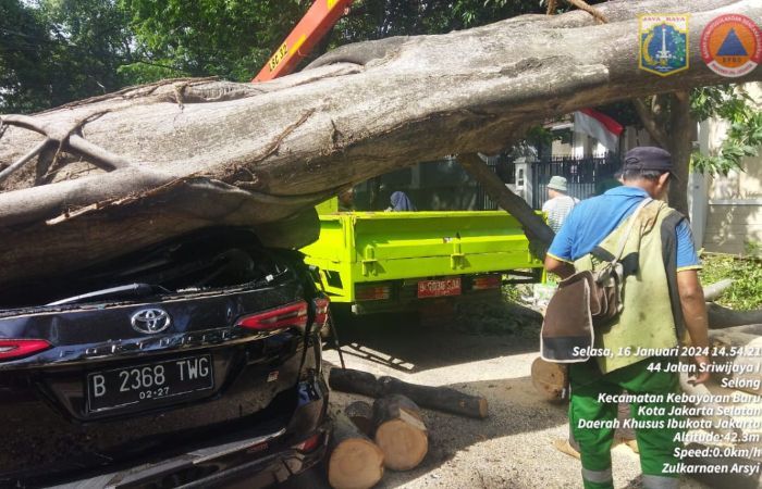 Brak! Mobil Fortuner Ringsek Tertimpa Pohon Tumbang di Dekat Rumah Prabowo