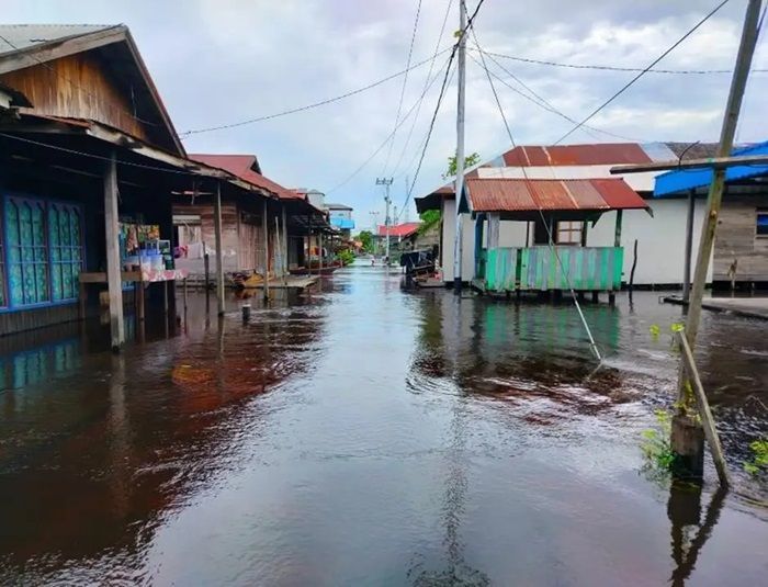 Diguyur Hujan, Lima Kabupaten dan Satu Kota di Kalimantan Tengah Terendam Banjir