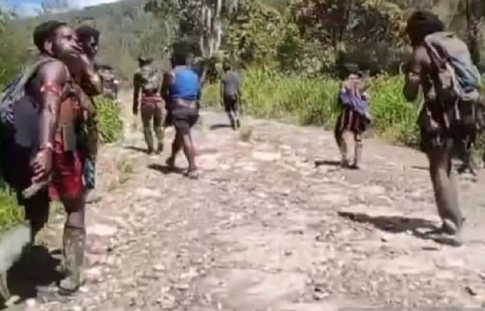 Merinding! Ini Alasan KKB Bunuh Danramil Aradide di Papua: Benci dengan TNI-Polri