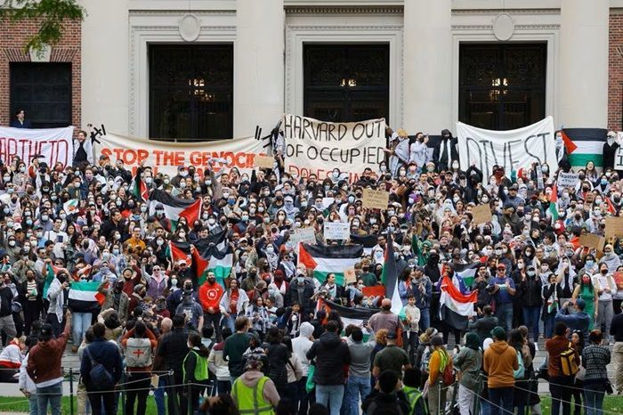 Universitas Hardvard Dikritik Tidak Lindungi Mahasiswa Yang Pro Palestina Dari Ancaman Kekerasan