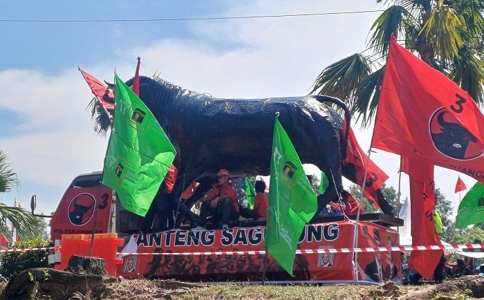  Banteng Moncong Putih dan Mata Merah Meriahkan Kampanye Mahfud MD di Batam
