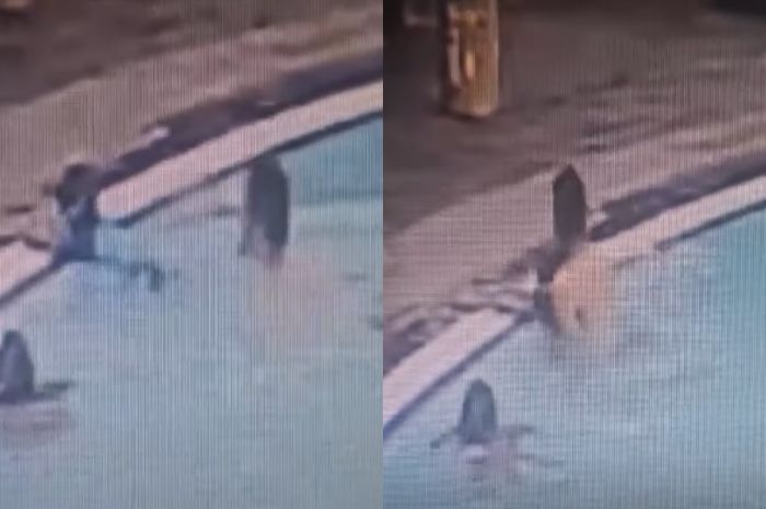 CCTV Jelang Tewasnya Anak Tamara Tyasmara: Pelaku Tenggelamkan Korban Belasan Kali
