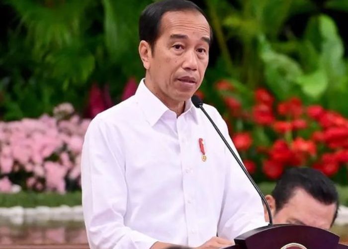 Tudingan Deddy Sitorus ke Jokowi Harus Dipertanggung Jawabkan