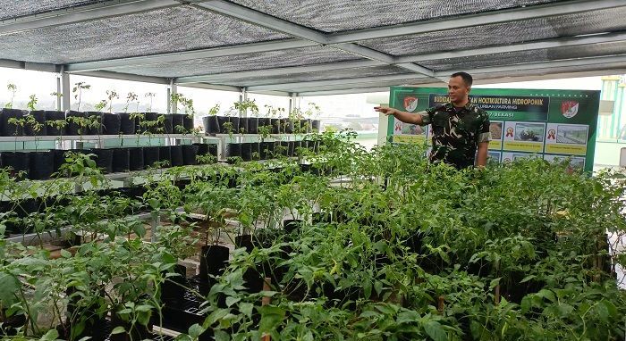 Kodim Bekasi Sulap Area Rooftop Jadi Urban Farming, Ada Peternakan dan Perkebunan Mini