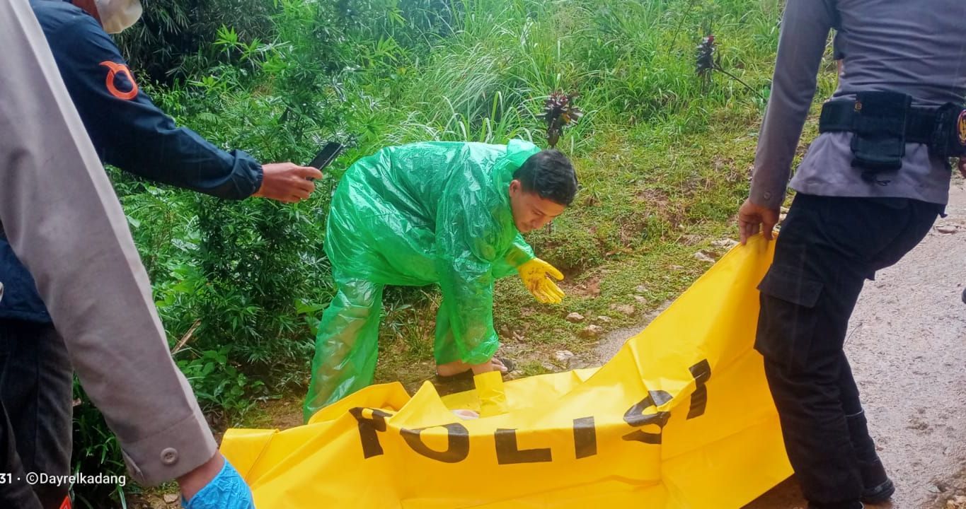 Warga Temukan Jasad Bayi Diseret Anjing di Toraja Utara, Polisi Selidiki