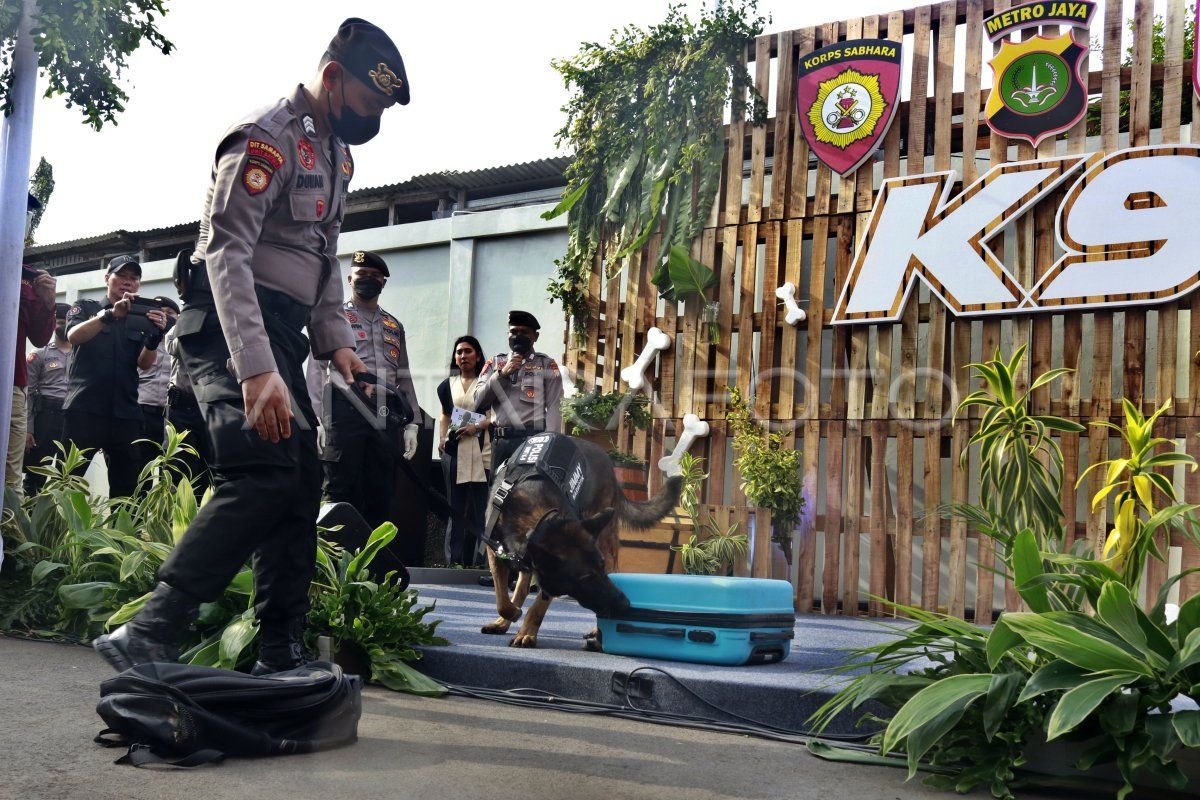 Enam Anjing K9 Bantu Polisi Gagalkan Peredaran Narkoba di Pelabuhan Bakauheni, 8 Pelaku Ditangkap