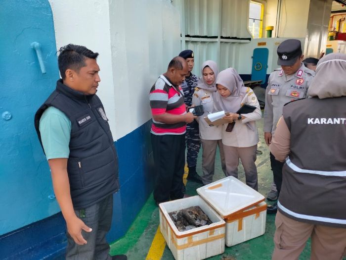 60 Kg Tikus Mati Siap Konsumsi Diamankan, Dimasukan ke Kotak Styrofoam