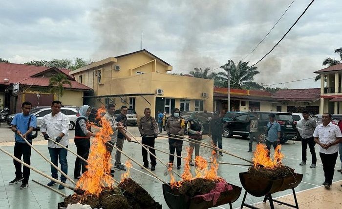 Polres Langkat Musnahkan Barbuk Ganja dan Sabu