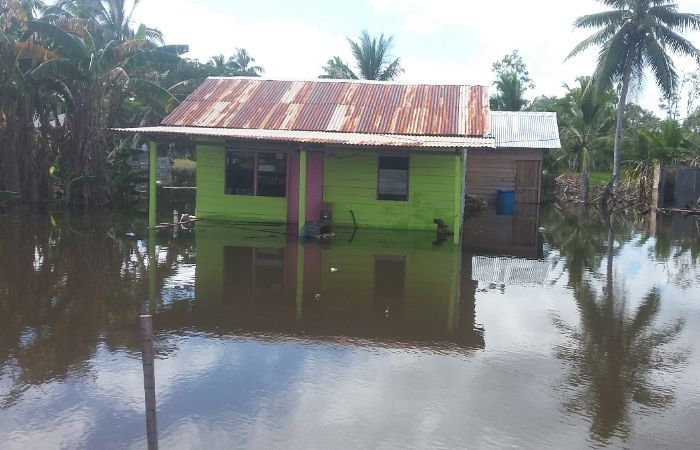 4 Kampung di Distrik Kurik Merauke Terendam Banjir, Debit Air Terus Bertambah Setiap Harinya