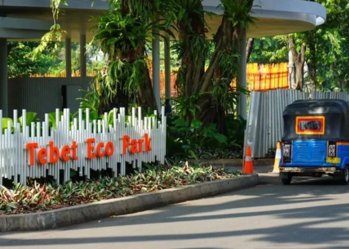 Niat Selamatkan Anaknya, Seorang Ibu Muda Tertimpa Pohon di Eco Park Tebet