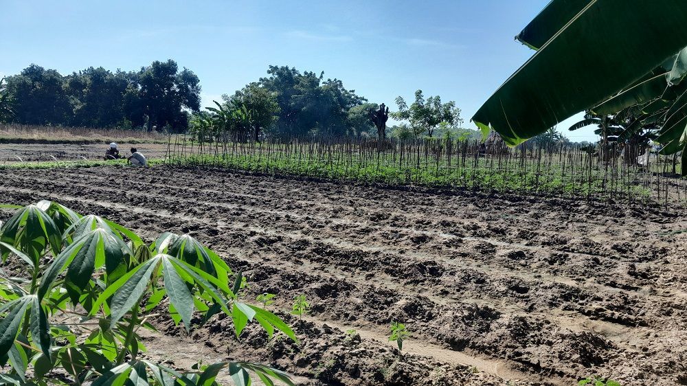Pemkab Pamekasan Terima Tambahan Pupuk Subsidi, Penyaluran Paling Lambat Bulan Juni