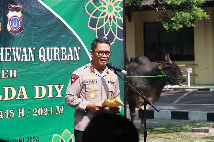 Malam Idul Adha 1445, Polda DIY Berikan 30 Sapi dan 15 Kambing pada Warga dan Pondok Pesantren
