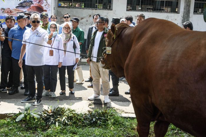 Mendag Zulkifli Hasan Imbau Masyarakat Laksanakan Kurban di Rumah Potong Hewan