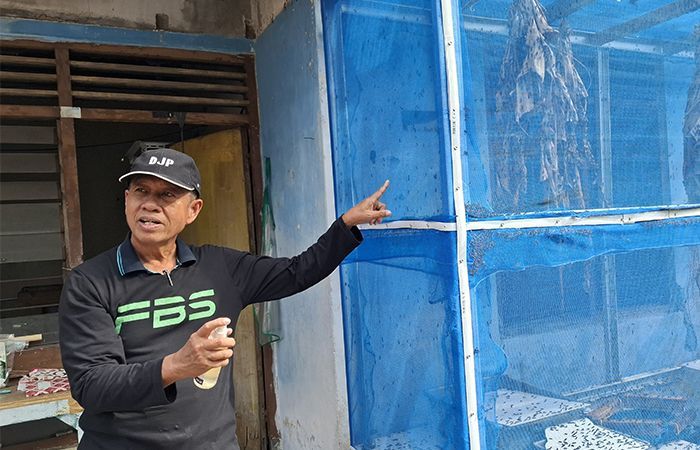 Kreatif! Warga Yogyakarta Kurangi Sampah 1,5 Ton Per Hari dengan Ternak Maggot