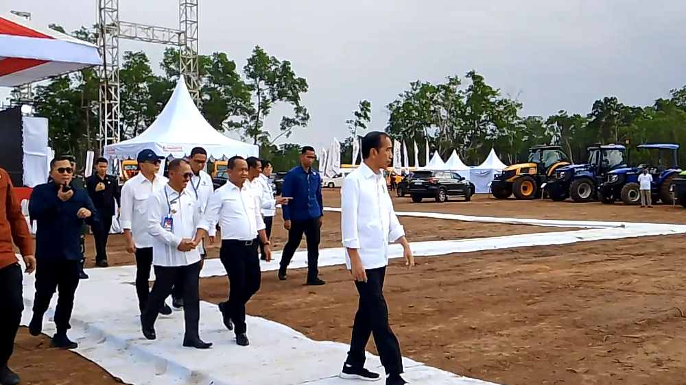 Dorong Investasi Gula, Presiden Jokowi Tinjau Lahan Tebu di Merauke