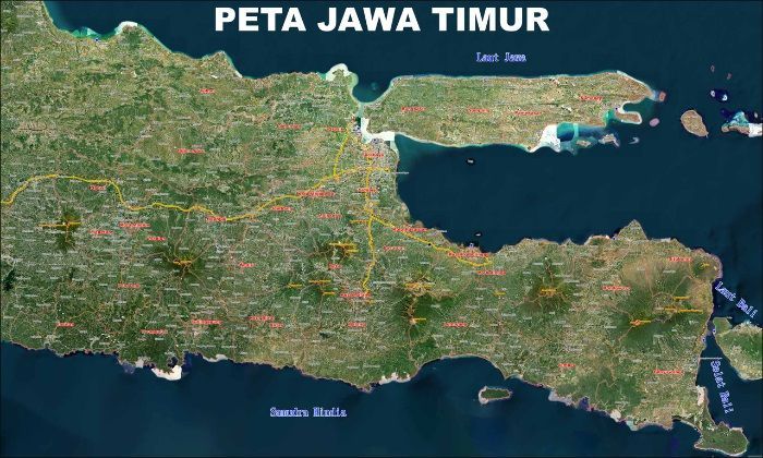 Ramai Isu Megathrust Tinggal Tunggu Waktu, Berikut Daerah di Jatim yang Berpotensi Terdampak