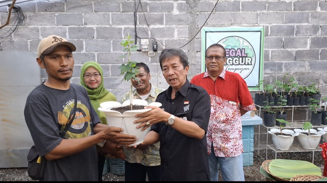 Kunjungi Kampung Anggur Kota Jogja, Pj Wali Kota Sugeng : Tidak Ada Lagi Alasan Tidak Bertani Meski di Lahan Sempit