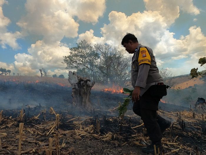 Aksi Heroik Aiptu Herman Selamatkan Ladang Jagung Milik Warga dari Kebakaran di Parepare
