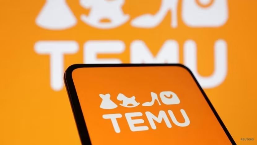 5 Fakta RI Resmi Larang Platform E-commerce Temu untuk Hindari Dampak ke UMKM