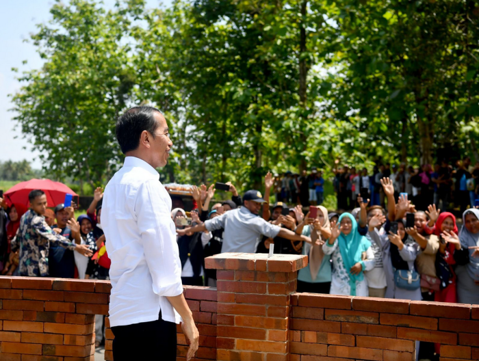 Jokowi dan Desa: Transformasi, Elektrifikasi, dan Pembangunan Berkelanjutan