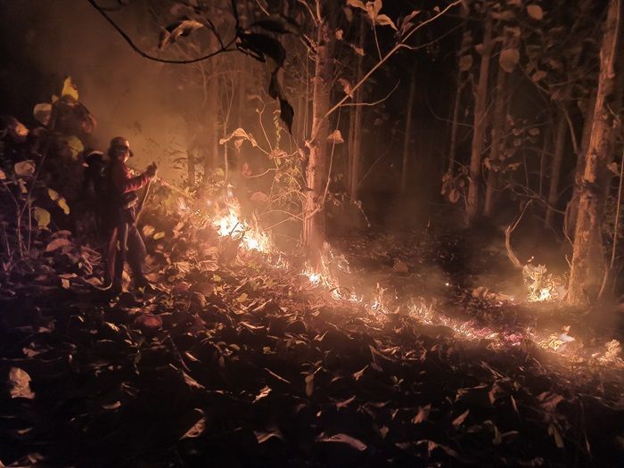 Kebakaran Hutan Jati di Lereng Gunung Sekitar Pantai Papuma, Dua Titik Api Dengan Luas 5 Hektar Lebih