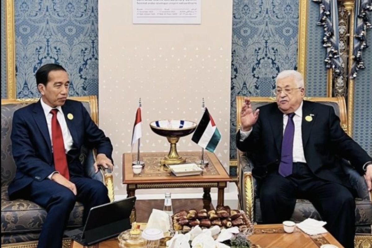 10 Tahun Presiden Jokowi dalam Misi Kemanusiaan Global: Jadi Pimpinan G20 hingga Konsisten Bela Palestina