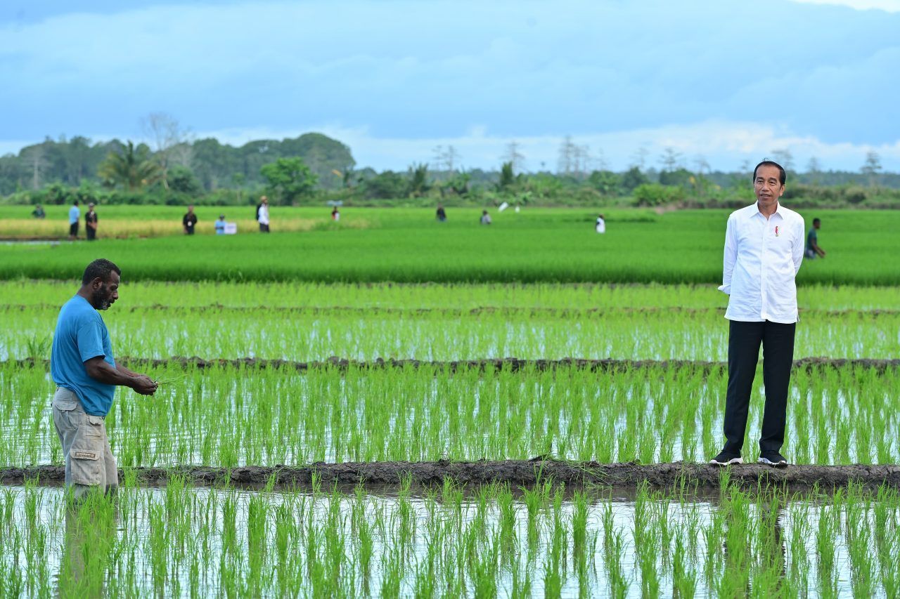 Tanggapan Masyarakat Yogyakarta Terkait Kinerja Presiden Jokowi, Mayoritas Merasa Puas!