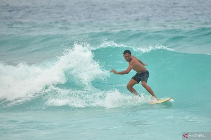 Peselancar asal Italia Tewas Tertancap Ikan Todak saat Berselancar di Mentawai