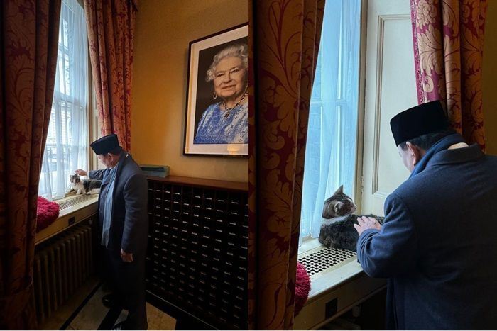 Aksi Menggemaskan Larry the Cat Saat Dielus Presiden Prabowo Bikin Netizen Heboh dengan Kabar Bobby Kertanegara