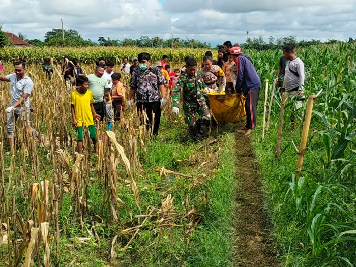 Pria Tewas Setelah Curi Tabung Gas, Jasad Ditemukan di Pematang Sawah