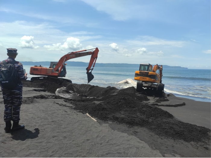 Paus Raksasa Seberat 13 Ton Terdampar dan Mati di Pantai Jember