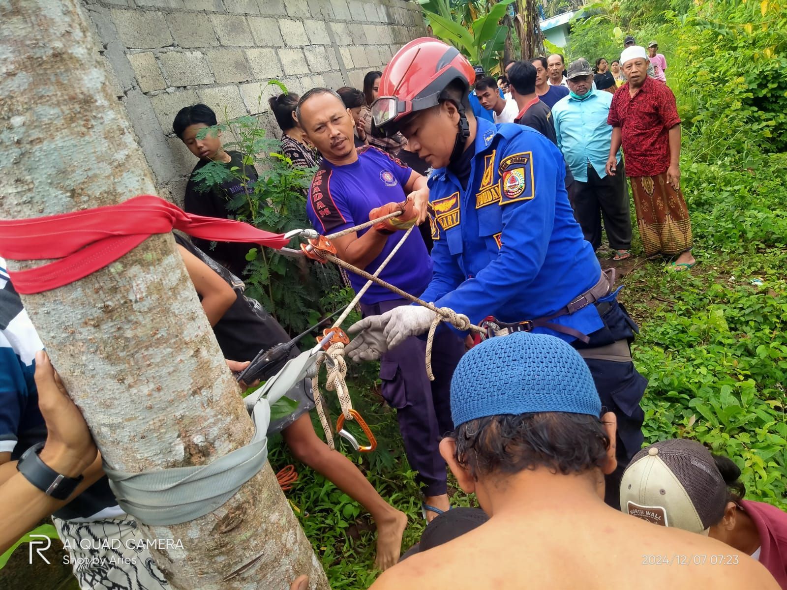 Kakek Pikun di Jember Terperosok dari Tebing, Tersangkut di Ranting Pohon pada Kedalaman 10 Meter