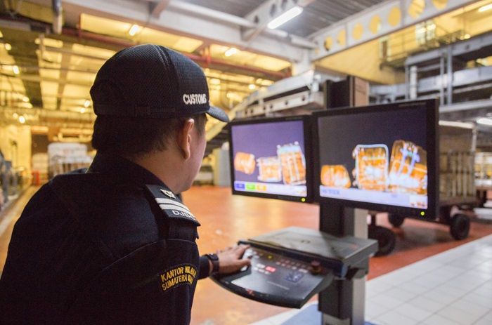 Bea Cukai: Operasi Thunder dan Demeter 2024 untuk Lindungi Lingkungan dan Keanekaragaman Hayati Indonesia
