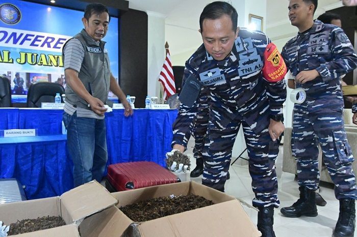 TNI AL Gagalkan Penyelundupan 54 Kg Kalajengking Lelgel di Bandara Juanda
