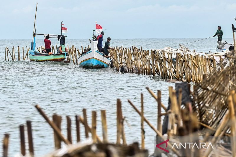 Kasus Pagar Laut Tangerang, Bareskrim Periksa Lagi Saksi Usai Temukan Unsur Pidana
