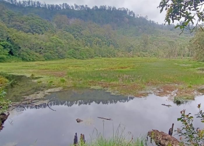 Danau Tunjung Terancam Jebol, 90 Miliar Liter Air Bisa Picu Banjir Bandang
