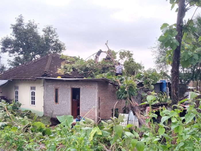 Hujan Es dan Angin Kencang Terjang Boyolali, Sejumlah Rumah Rusak Tertimpa Pohon
