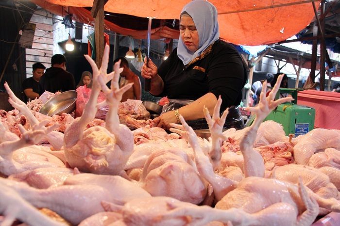 Jelang Bulan Puasa, Polres Jakarta Selatan Tangkap Penjual Ayam Gelonggongan