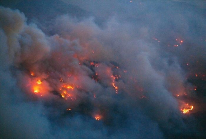Kebakaran Hutan Jepang Buat 2 Ribu Warga Dievakuasi
