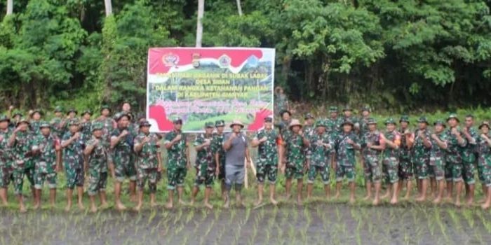Demi Perkuat Ketahanan Pangan, Kodim 1616 Gianyar Tanam Padi Organik