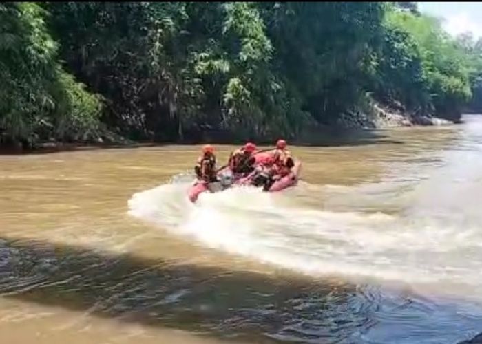 3 Hari Hilang, Nenek Asal Jember yang Hanyut di Sungai Ditemukan Tak Bernyawa