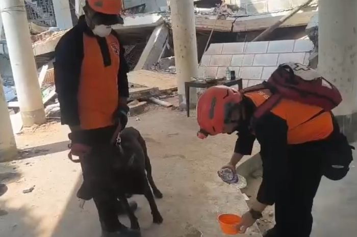 Operasi Kemanusiaan di Myanmar, Anjing Pelacak Polri Temukan 1 Korban