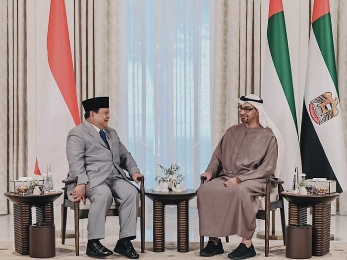 Presiden Prabowo Minta Masukan MBZ Cari Perdamaian di Gaza