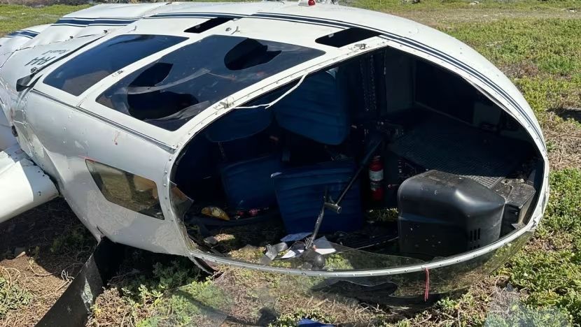 Kronologi Penguin Jadi Penyebab Kecelakaan Helikopter di Afrika Selatan