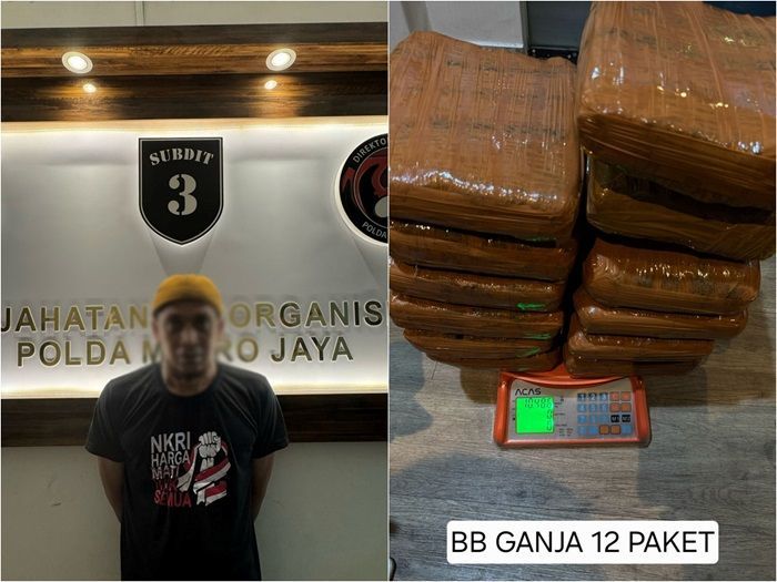 Pengedar Narkoba di Jaksel Diciduk Polda Metro, Belasan Paket Ganja Disita