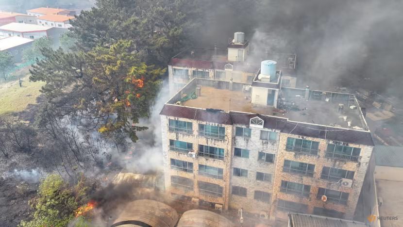 Kebakaran Hutan di Korea Selatan, Lebih dari 1200 Warga Daegu Diperintahkan Mengungsi