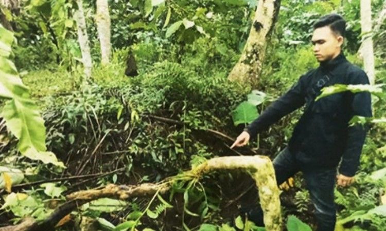 Bermodus Ancaman Klenik, Kakek 79 Tahun Diduga Rudapaksa Bocah SD di Banyuwangi