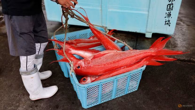 China Lanjutkan Impor Makanan Laut Jepang yang Sempat Dihentikan